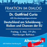 AfD-Hamburg-Curio