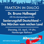 AfD-Hamburg-Hollnagel