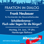 AfD-Hamburg-Schuldenbremse