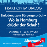 AfD-Hamburg-Bürgergespräch