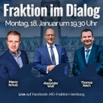 AfD-Hamburg-FiD