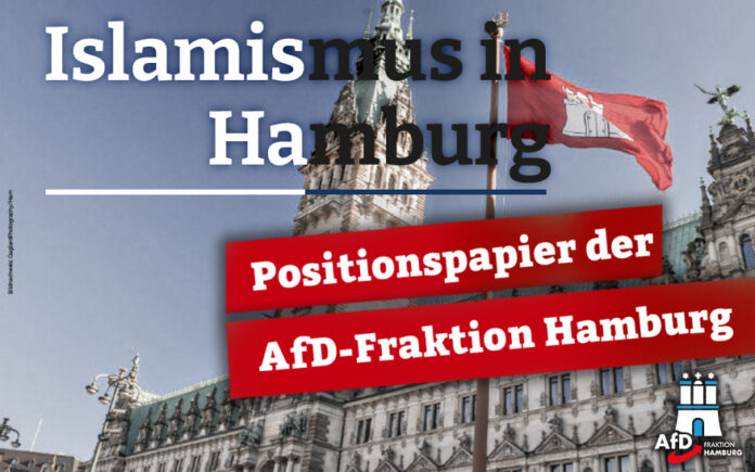 AfD-Fraktion-Hamburg-Islamismus-Positionspapier-Pressekonferenz