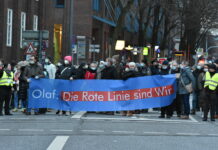 AfD-Fraktion-Hamburg-Demonstrationsverbot-Rot-Grün-Demokratie