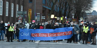 AfD-Fraktion-Hamburg-Demonstrationsverbot-Rot-Grün-Demokratie